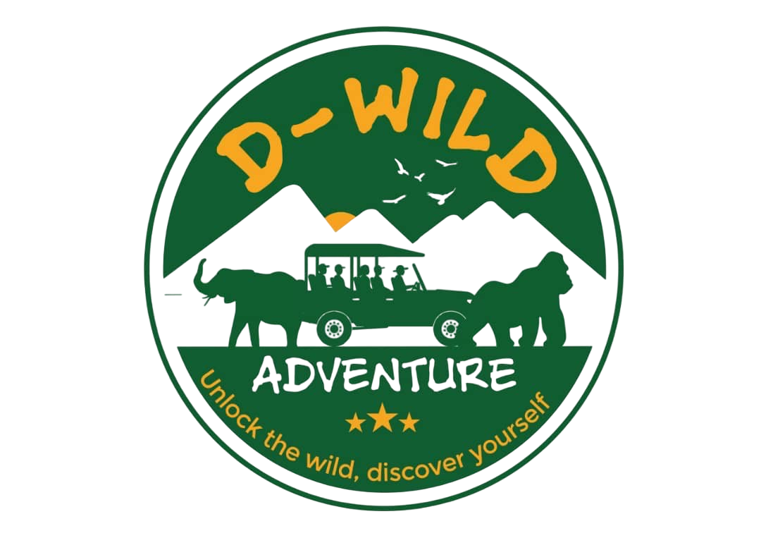D-Wild Adventure Steers Limited